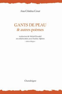 Gants de peau & autres poèmes
